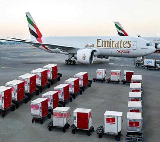 air-freight-cameroon